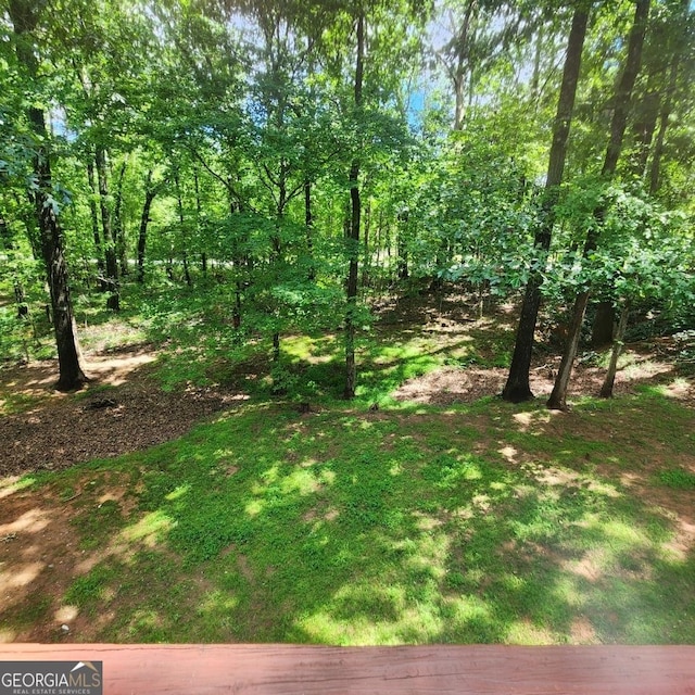 view of local wilderness