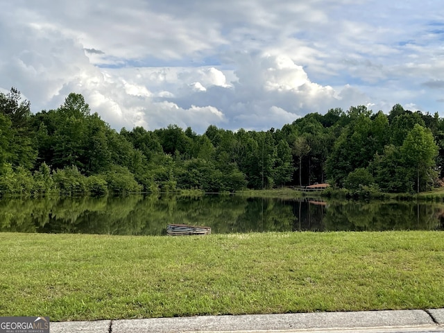 114 Brookstone Dr, Carrollton, GA 30116 - water view with a heavily wooded area