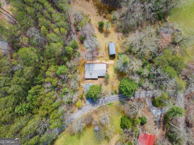 bird's eye view