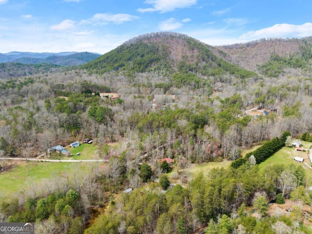 view of mountain background featuring a forest
