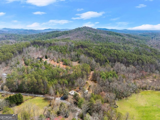 drone / aerial view of a forest and a mountainous background