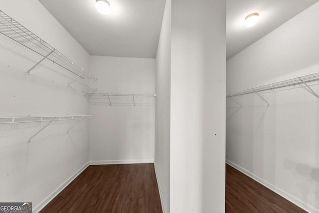7995 Brewton Creek Dr, Cumming, GA 30028 - walk in closet featuring wood finished floors