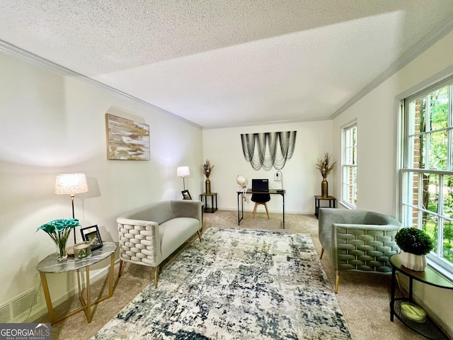 1461 Fox Forest Ter SW, Lilburn, GA 30047 - living area with ornamental molding, a textured ceiling, carpet floors, and an office area