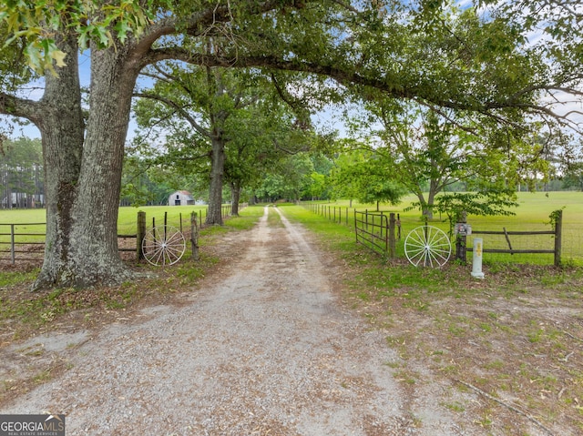 3978 Wc Hodges Rd, Statesboro, GA 30461 - view of dirt / gravel driveway