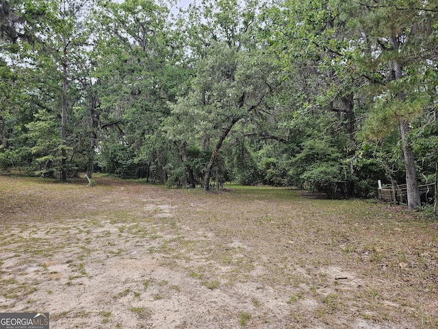 3978 Wc Hodges Rd, Statesboro, GA 30461 - view of yard with a wooded view