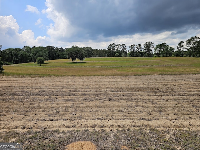 3978 Wc Hodges Rd, Statesboro, GA 30461 - view of local wilderness with rural landscape