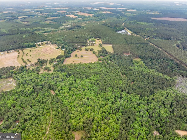3978 Wc Hodges Rd, Statesboro, GA 30461 - aerial view of property's location with a forest