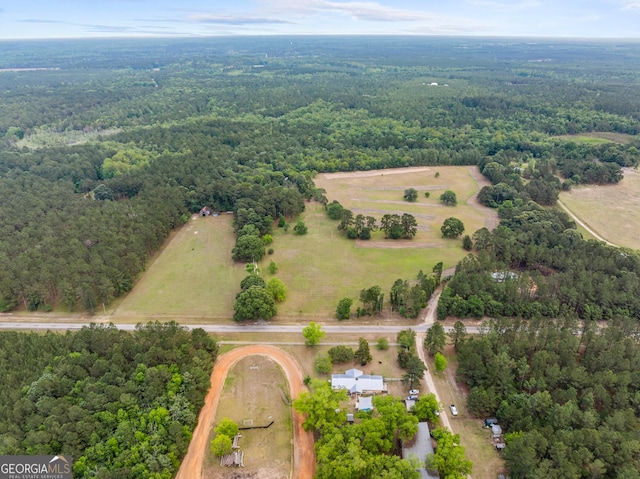 3978 Wc Hodges Rd, Statesboro, GA 30461 - bird's eye view of a forest