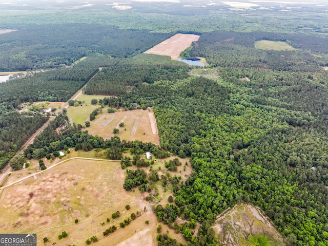 3978 Wc Hodges Rd, Statesboro, GA 30461 - view of rural area featuring a forest