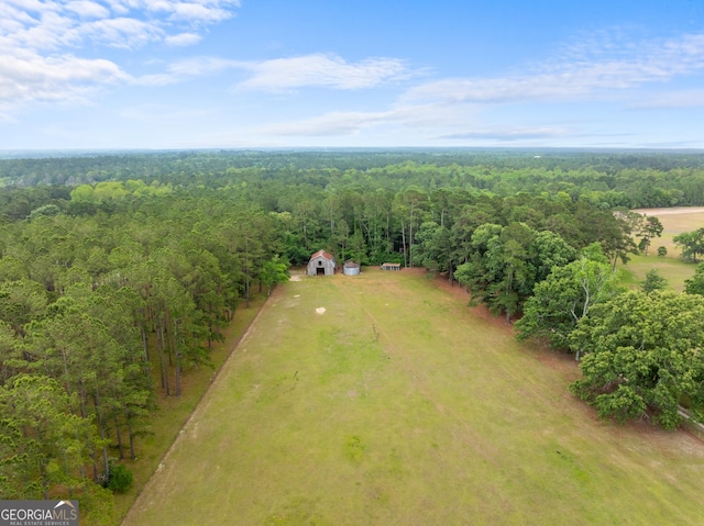 3978 Wc Hodges Rd, Statesboro, GA 30461 - overview of rural landscape with a forest