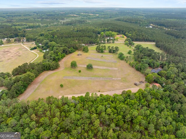 3978 Wc Hodges Rd, Statesboro, GA 30461 - view of property location featuring a heavily wooded area and rural landscape
