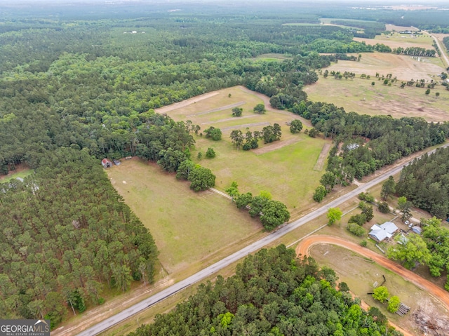 3978 Wc Hodges Rd, Statesboro, GA 30461 - view of property location with a forest and rural landscape