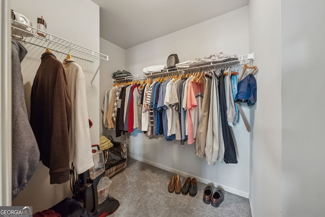 walk in closet with carpet flooring