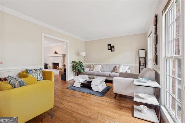 living area featuring wood finished floors, crown molding, and a warm lit fireplace