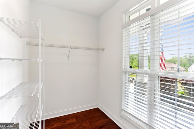 59 Grand Georgian Ct NE, Cartersville, GA 30121 - spacious closet with dark wood finished floors