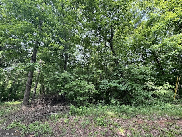 LOT24 Tomlin Rd, Commerce, GA 30530