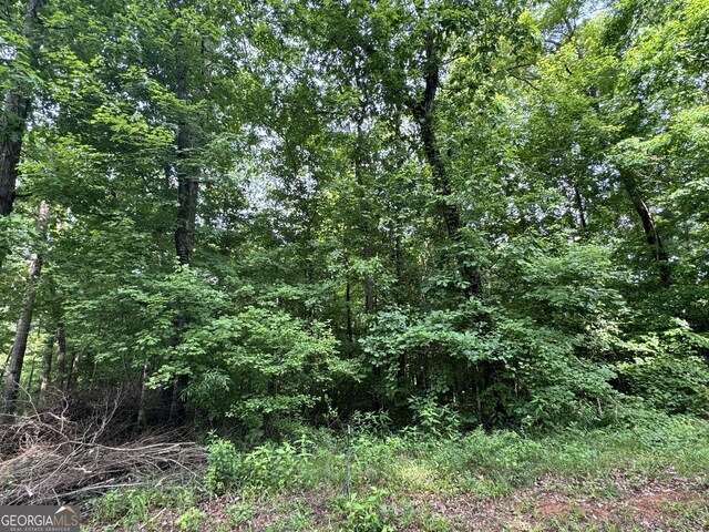 LOT24 Tomlin Rd, Commerce, GA 30530