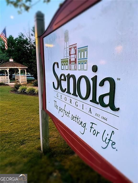 126 Morgan St, Senoia, GA 30276 - exterior view