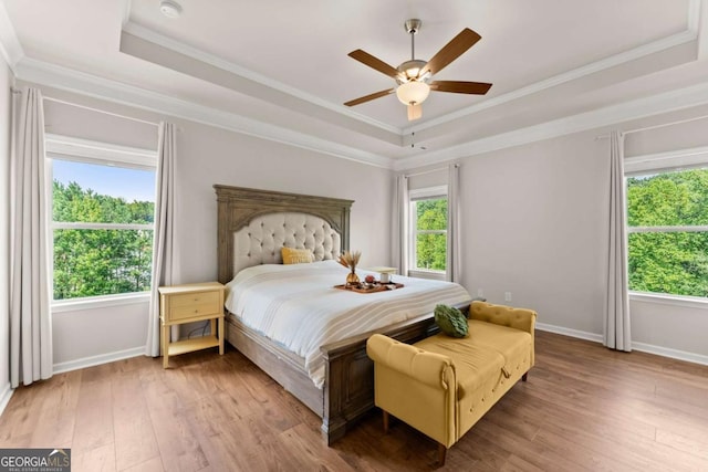 3616 Castoff Ct, Gainesville, GA 30506 - bedroom with a raised ceiling, multiple windows, baseboards, and crown molding