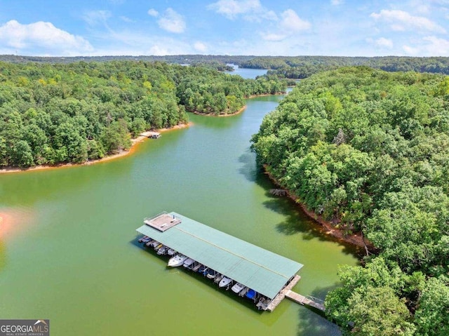 3616 Castoff Ct, Gainesville, GA 30506 - drone / aerial view of a heavily wooded area and a large body of water