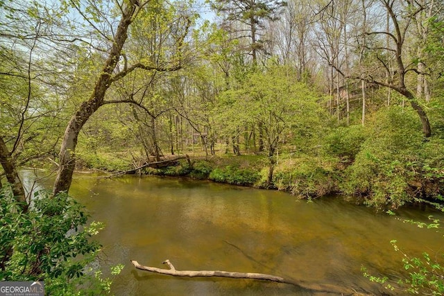 369 Trillium Rd, Suches, GA 30572 - water view