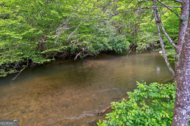 369 Trillium Rd, Suches, GA 30572 - water view
