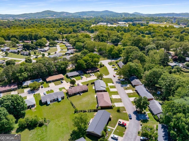 19 Hannon Way, Cartersville, GA 30120 - aerial overview of property's location featuring a mountain backdrop and nearby suburban area