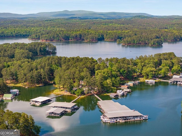 19 Hannon Way, Cartersville, GA 30120 - drone / aerial view of a forest and a water and mountain view