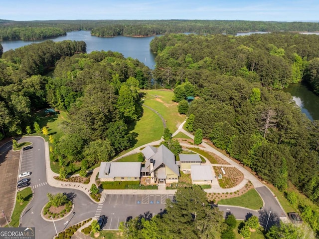19 Hannon Way, Cartersville, GA 30120 - aerial view of property and surrounding area with a heavily wooded area and a large body of water