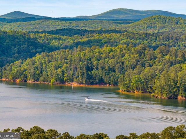 19 Hannon Way, Cartersville, GA 30120 - water view featuring a heavily wooded area and a mountain backdrop