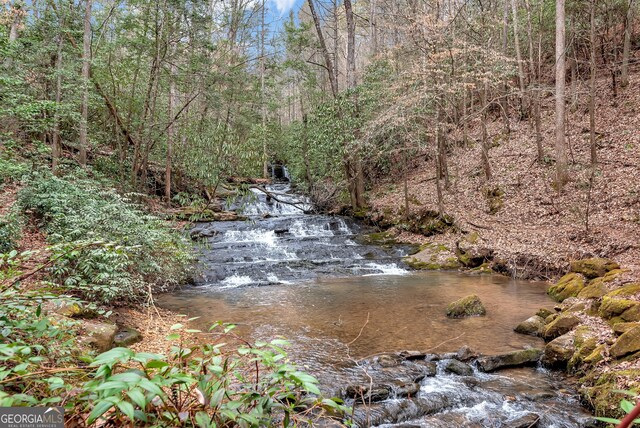 333 Hawks Nest, Sautee Nacoochee, GA 30571