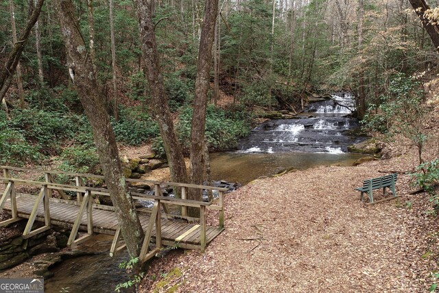 333 Hawks Nest, Sautee Nacoochee, GA 30571