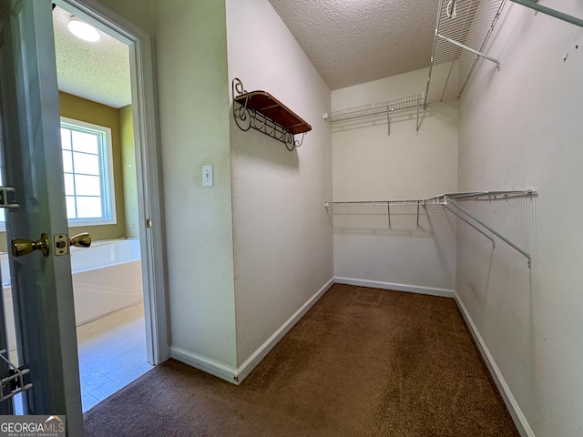walk in closet featuring carpet