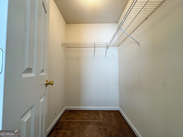 walk in closet with carpet floors