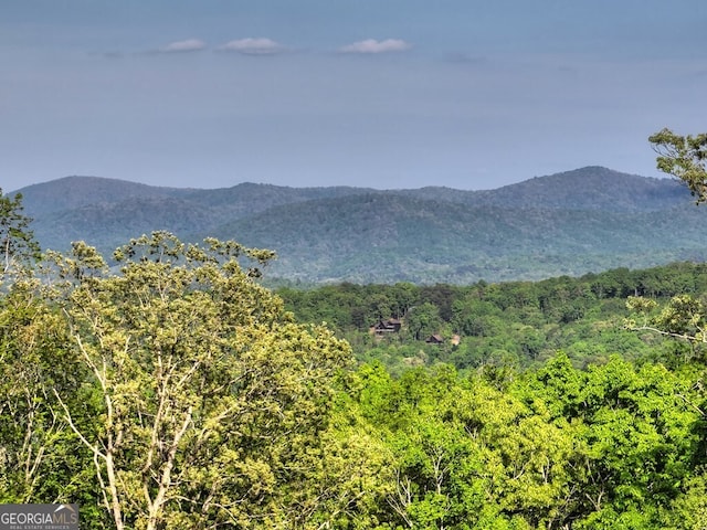 840 Deer Crest Rd, Blue Ridge, GA 30513 - mountain view with a heavily wooded area