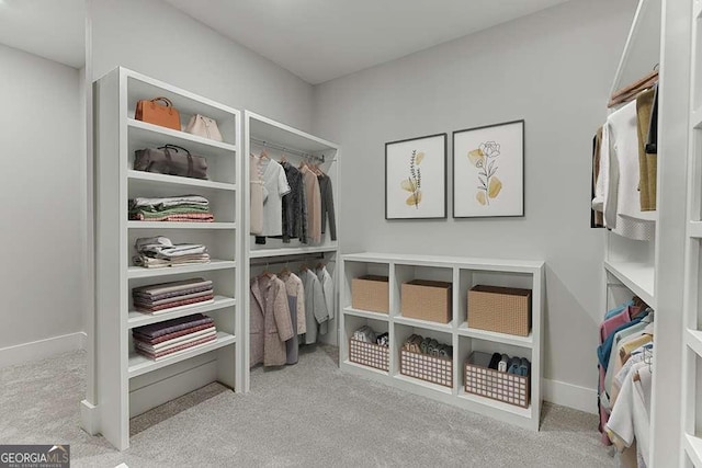 7620 Breeze Bay Rd, Cumming, GA 30041 - spacious closet featuring carpet