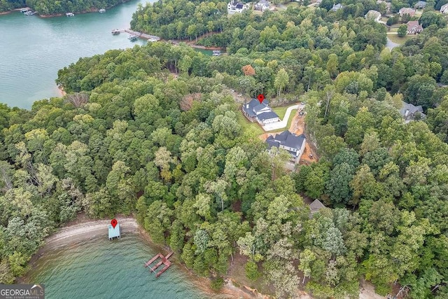 7620 Breeze Bay Rd, Cumming, GA 30041 - aerial view of property's location with a nearby body of water and a forest