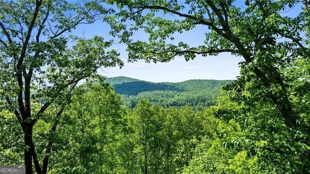 512 Picklesimer Mtn Rd, Morganton, GA 30560 - view of mountain background featuring a heavily wooded area
