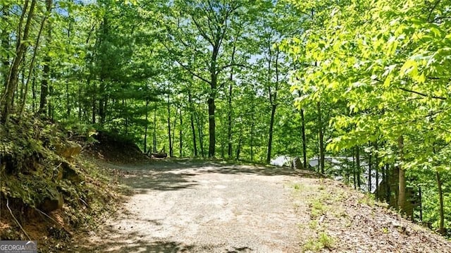 512 Picklesimer Mtn Rd, Morganton, GA 30560 - view of woods