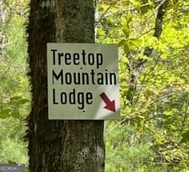512 Picklesimer Mtn Rd, Morganton, GA 30560 - view of community sign
