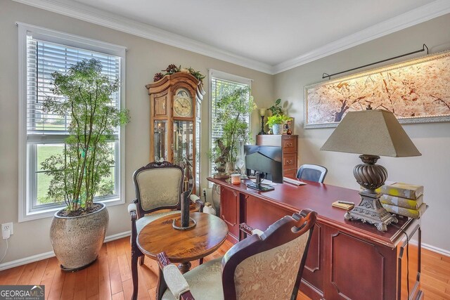 office with hardwood / wood-style floors, ornamental molding, and baseboards