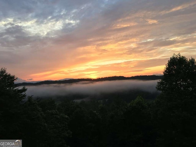 350 Left Turn Unit 15, Blue Ridge, GA 30513 - water view