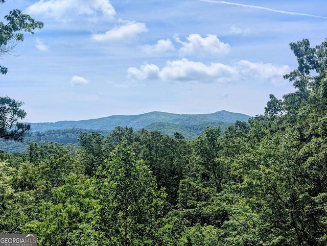 350 Left Turn Unit 15, Blue Ridge, GA 30513 - view of mountain backdrop featuring a heavily wooded area