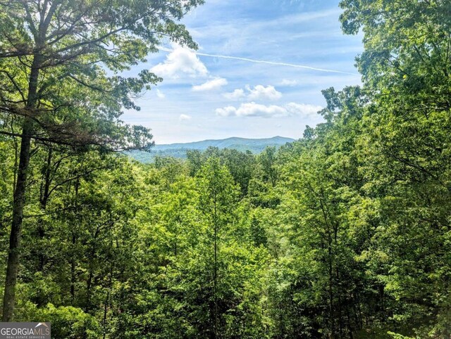 350 Left Turn Unit 15, Blue Ridge, GA 30513 - mountain view with a forest