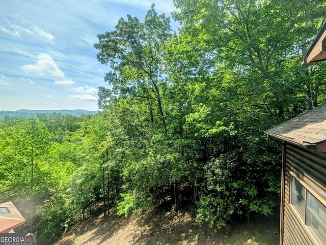350 Left Turn Unit 15, Blue Ridge, GA 30513 - view of mountain background