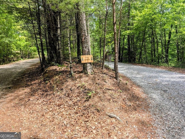 350 Left Turn Unit 15, Blue Ridge, GA 30513 - view of road with a wooded view