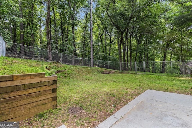 view of yard with a patio area