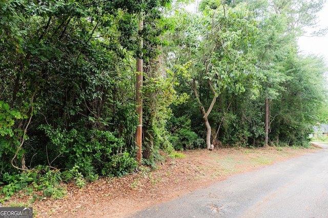 view of asphalt street