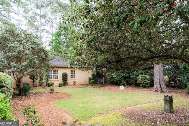 view of green lawn