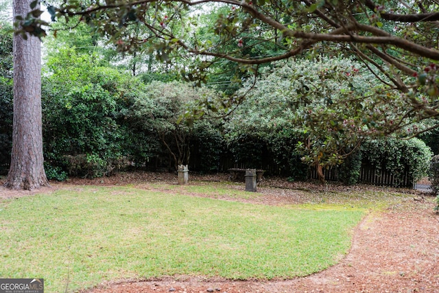 view of green lawn